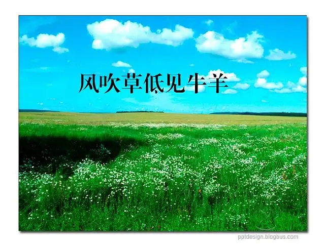点击查看原始尺寸