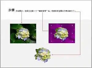 002 300x221 【PPT技巧教程】利用PowerPoint 2010 自帶功能完美無(wú)遺憾快速摳圖！