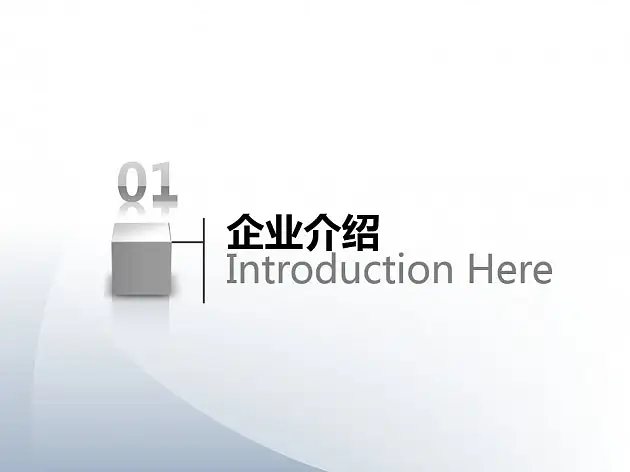 （theskinsstudio.com）医药公司PPT模板(中文版)2