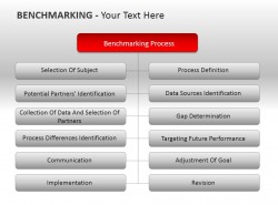 企业枝叶状 组织架构图 | PPT设计教程网