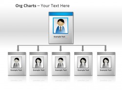 企业组织架构图图片展示 | PPT设计教程网