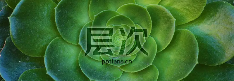 层次