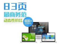 83页公司介绍/商业策划书适用的欧美商务PPT模板