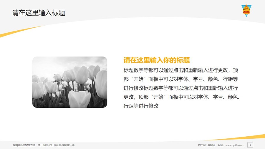 台湾中国文化大学PPT模板下载_幻灯片预览图5