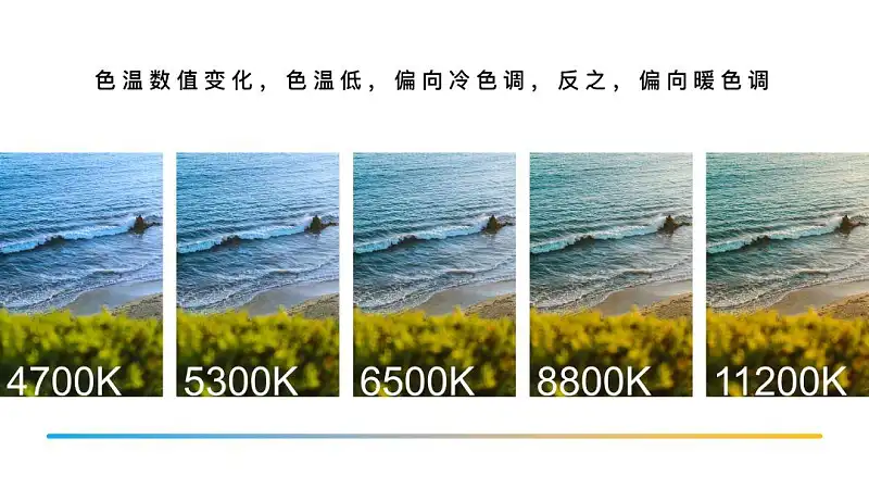 从没想过，这个基础的PPT图片处理功能，竟然这么实用！