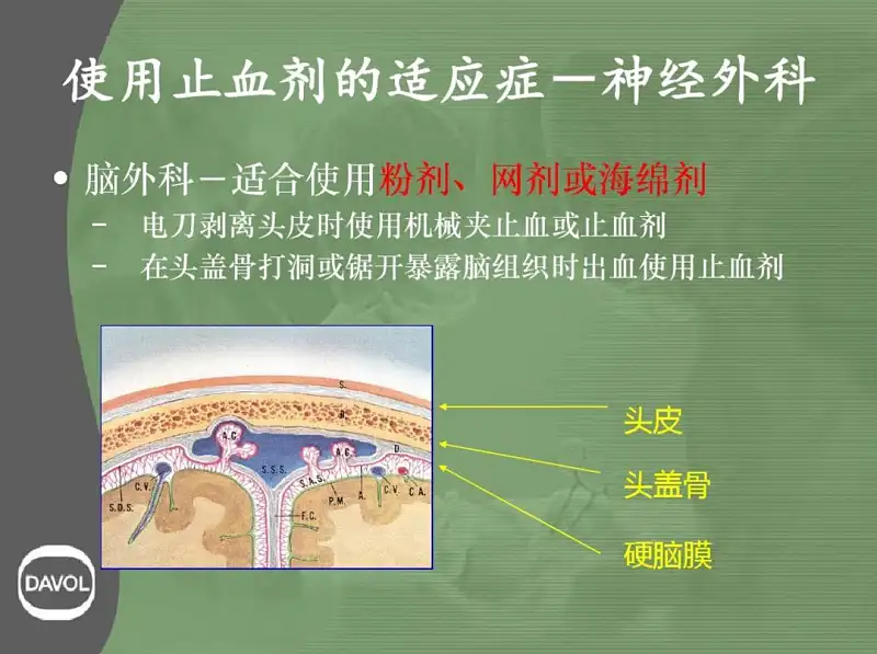 这个基础的PPT线条,也太实用了吧! 这个基础的PPT线条,也太实用了吧!