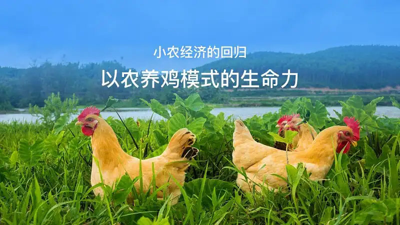 这4个PPT配图中的巨坑，你一定要知道！