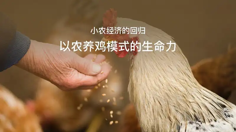 这4个PPT配图中的巨坑，你一定要知道！