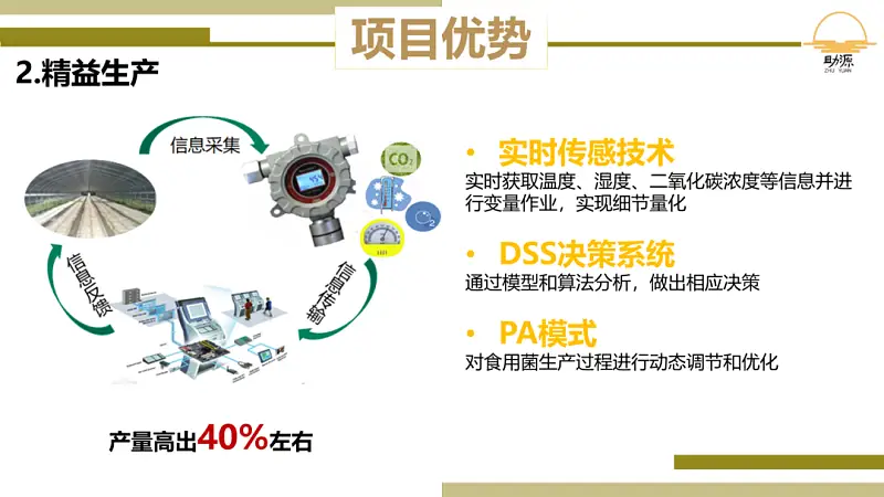 我做了一份满屏都是香菇的PPT！同事：想吃了！
