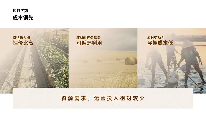 我做了一份满屏都是香菇的PPT！同事：想吃了！