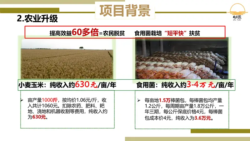 我做了一份满屏都是香菇的PPT！同事：想吃了！