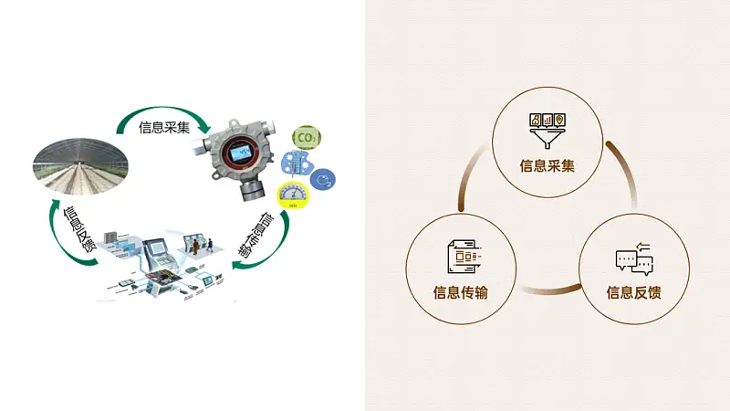 我做了一份满屏都是香菇的PPT！同事：想吃了！