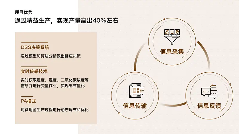 我做了一份满屏都是香菇的PPT！同事：想吃了！