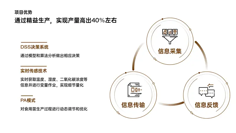 我做了一份满屏都是香菇的PPT！同事：想吃了！