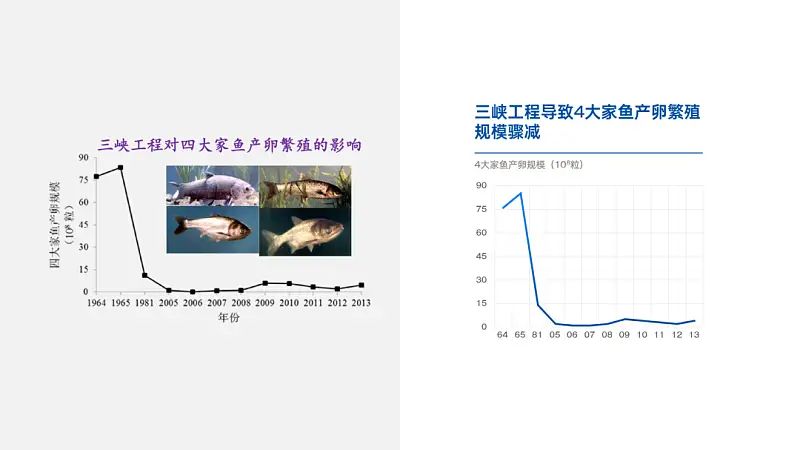 我帮一位学生修改了一份PPT！免费分享给你！
