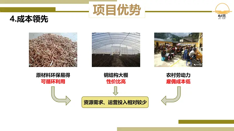 我做了一份满屏都是香菇的PPT！同事：想吃了！