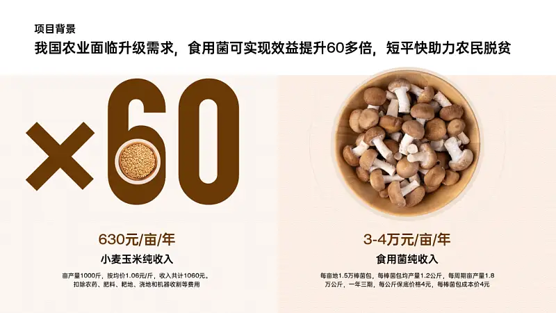 我做了一份满屏都是香菇的PPT！同事：想吃了！