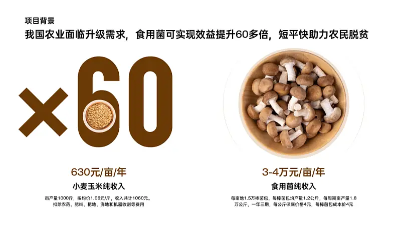 我做了一份满屏都是香菇的PPT！同事：想吃了！