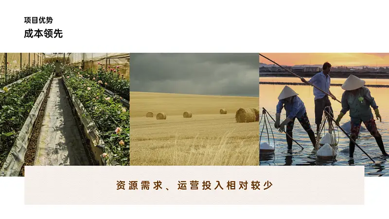 我做了一份满屏都是香菇的PPT！同事：想吃了！