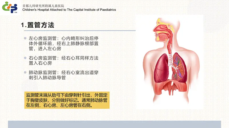 這3個超小眾的PPT頁面排版方式！我忍不住安利給你！