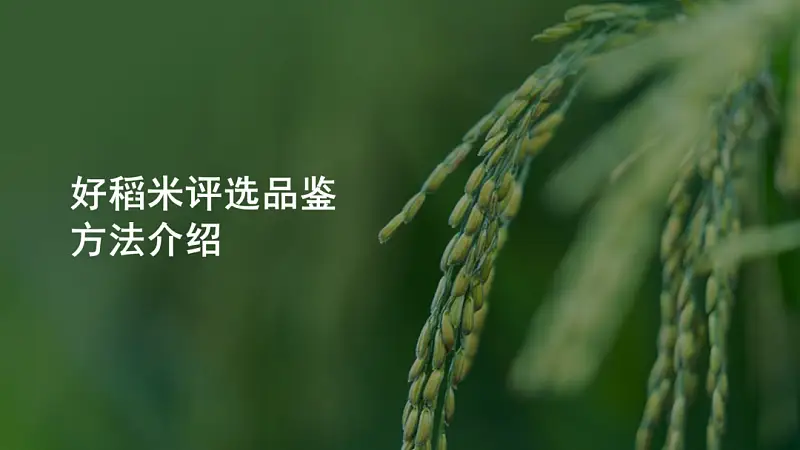 同事的PPT封面文案這樣寫！被老板狠狠的夸了...
