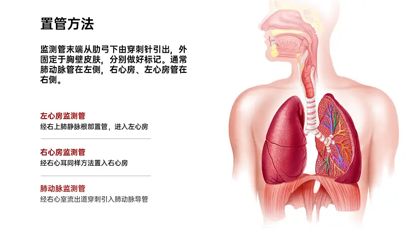 這3個超小眾的PPT頁面排版方式！我忍不住安利給你！