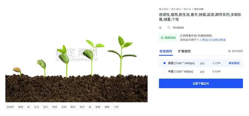 邵大，我不会PS，能做出高逼格PPT吗？