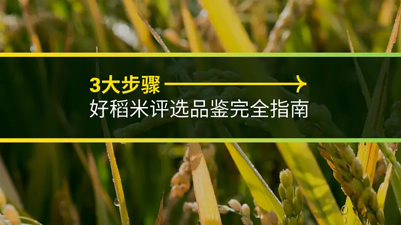 同事的PPT封面文案這樣寫！被老板狠狠的夸了...