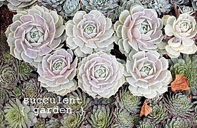 PPT颜色搭配-跟着感觉走