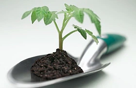 逻辑是PPT的生命