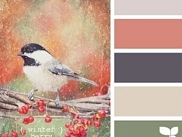 PPT配色之鸟语花香