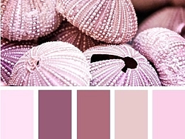 PPT配色之紫色魅力