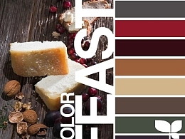 PPT配色之食物色彩