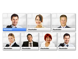 团队照片,公司架构,公司简介,框架图,组织架构,图片墙