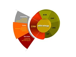 扇形,数据,饼图