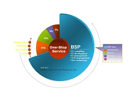 扇形,数据,饼图