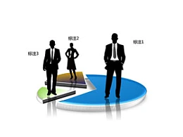 商务,饼图,小人,剪影,人物