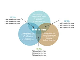 圆形,组成部分,3,半透明,组织体系,构成