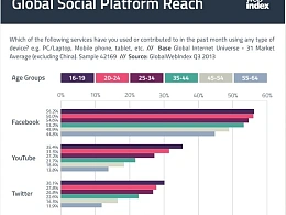 2013年Q3全球主要社交媒体用户人群使用习惯