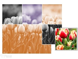 三分钟教程（95）：三步教你玩出万变图片阵列图