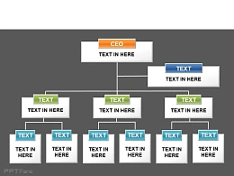 moonkey图表,组织架构,架构图,树状图,组织形式,公司规模