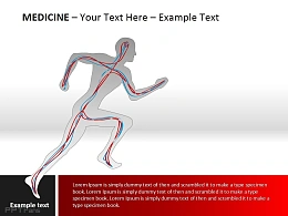 跑步人体血液循环