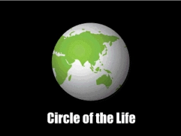 动画真好玩（12）：生生不息的地球