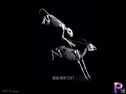 进化理论EVOLUTION超棒PPT分享