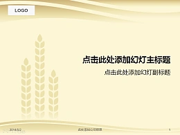 金黄色优美麦穗