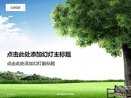 生命之树感叹岁月