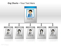 企业组织架构图图片展示