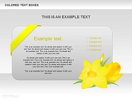 黄花立体卡片文字说明