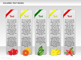 五部分整齐条形文字说明