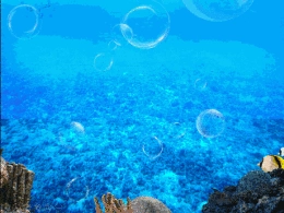 动画真好玩（17）：海底世界